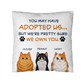 Your Pets Own You